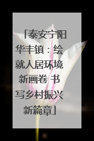 泰安宁阳华丰镇：绘就人居环境新画卷 书写乡村振兴新篇章