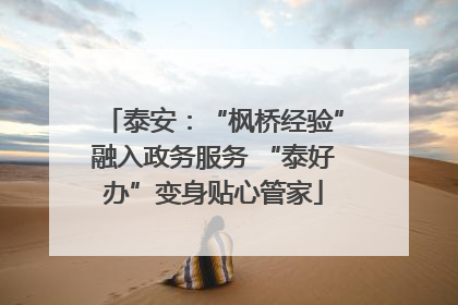 泰安：“枫桥经验”融入政务服务 “泰好办”变身贴心管家