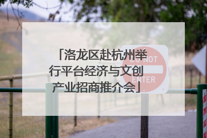 洛龙区赴杭州举行平台经济与文创产业招商推介会
