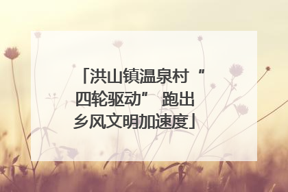 洪山镇温泉村“四轮驱动” 跑出乡风文明加速度