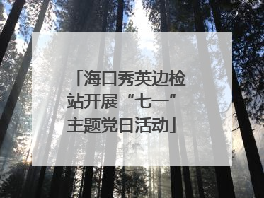 海口秀英边检站开展“七一”主题党日活动