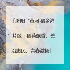 济阳“黄河·稻乡湾”片区：稻荷飘香、善治惠民、青春激扬