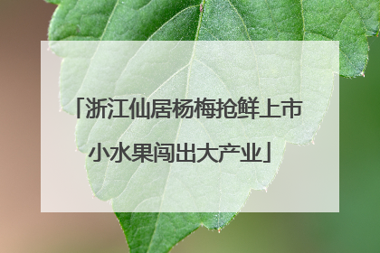 浙江仙居杨梅抢鲜上市 小水果闯出大产业