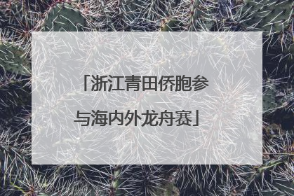 浙江青田侨胞参与海内外龙舟赛