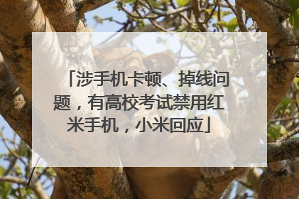 涉手机卡顿、掉线问题，有高校考试禁用红米手机，小米回应