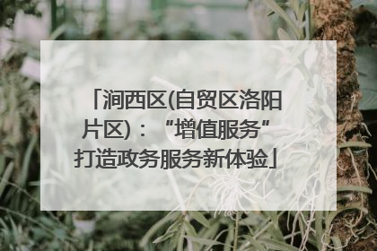 涧西区(自贸区洛阳片区)：“增值服务”打造政务服务新体验