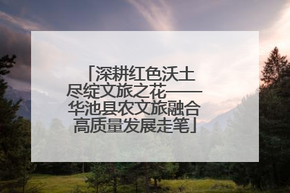 深耕红色沃土 尽绽文旅之花——华池县农文旅融合高质量发展走笔