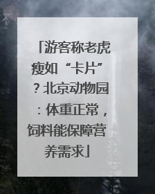 游客称老虎瘦如“卡片”？北京动物园：体重正常，饲料能保障营养需求