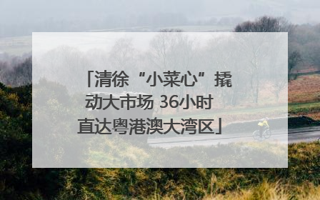 清徐“小菜心”撬动大市场 36小时直达粤港澳大湾区