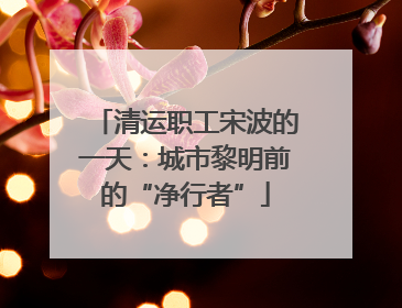 清运职工宋波的一天：城市黎明前的“净行者”