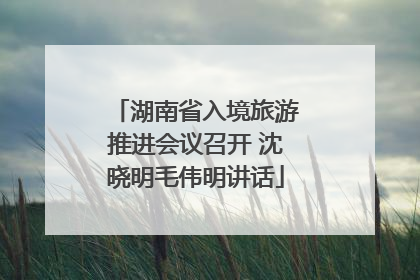 湖南省入境旅游推进会议召开 沈晓明毛伟明讲话