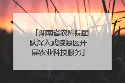 湖南省农科院团队深入武陵源区开展农业科技服务