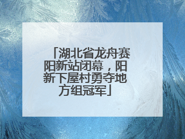 湖北省龙舟赛阳新站闭幕，阳新下屋村勇夺地方组冠军