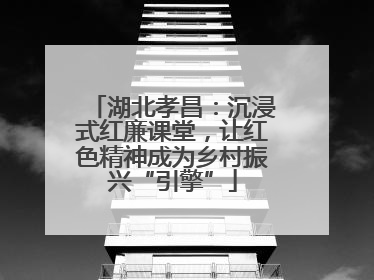 湖北孝昌：沉浸式红廉课堂，让红色精神成为乡村振兴“引擎”