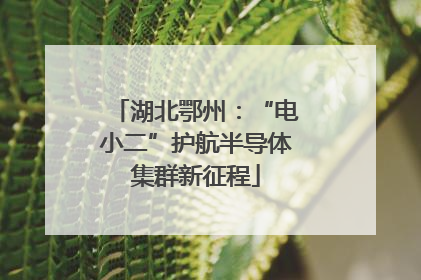 湖北鄂州：“电小二”护航半导体集群新征程