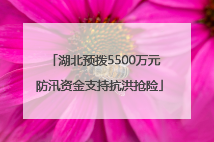 湖北预拨5500万元防汛资金支持抗洪抢险