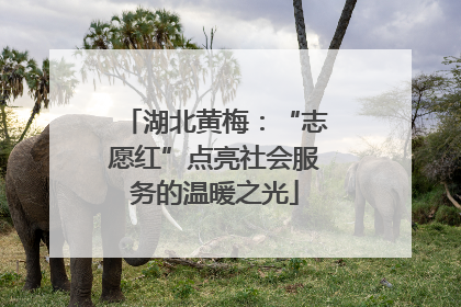 湖北黄梅：“志愿红”点亮社会服务的温暖之光