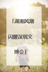 湖湘风潮闪耀深圳文博会
