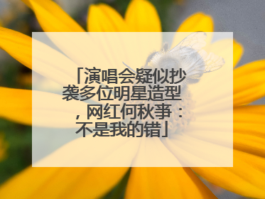 演唱会疑似抄袭多位明星造型，网红何秋亊：不是我的错