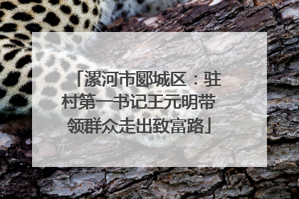 漯河市郾城区：驻村第一书记王元明带领群众走出致富路