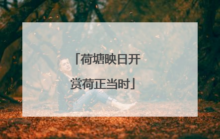 荷塘映日开 赏荷正当时