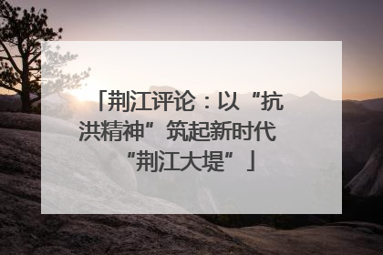 荆江评论：以“抗洪精神”筑起新时代“荆江大堤”