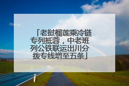 老挝榴莲乘冷链专列抵蓉，中老班列公铁联运出川分拨专线增至五条