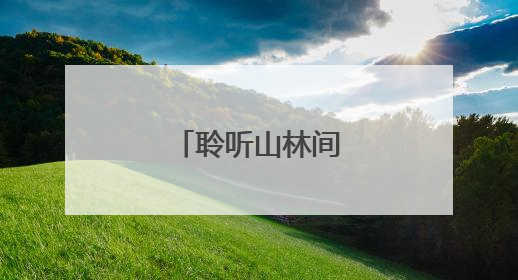 聆听山林间的生命之歌