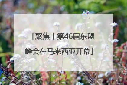 聚焦丨第46届东盟峰会在马来西亚开幕