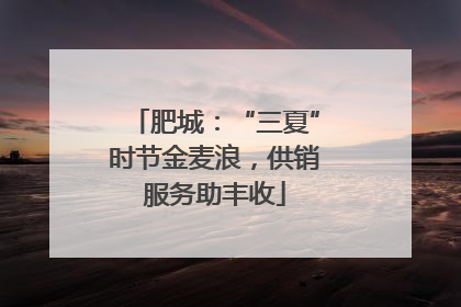 肥城：“三夏”时节金麦浪，供销服务助丰收