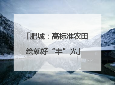 肥城：高标准农田绘就好“丰”光