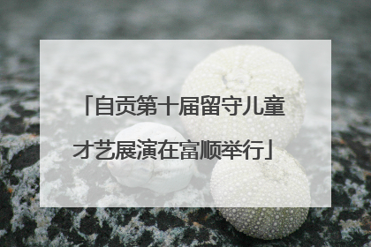 自贡第十届留守儿童才艺展演在富顺举行