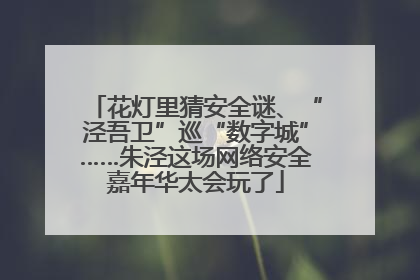 花灯里猜安全谜、“泾吾卫”巡“数字城”……朱泾这场网络安全嘉年华太会玩了