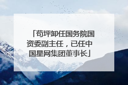 苟坪卸任国务院国资委副主任，已任中国星网集团董事长