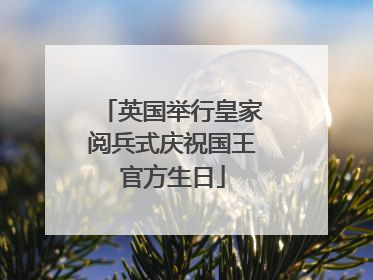 英国举行皇家阅兵式庆祝国王官方生日
