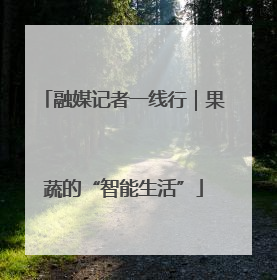 融媒记者一线行｜果蔬的“智能生活”