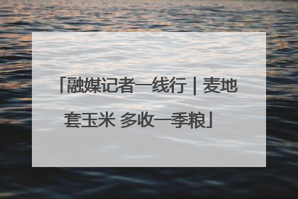 融媒记者一线行｜麦地套玉米 多收一季粮