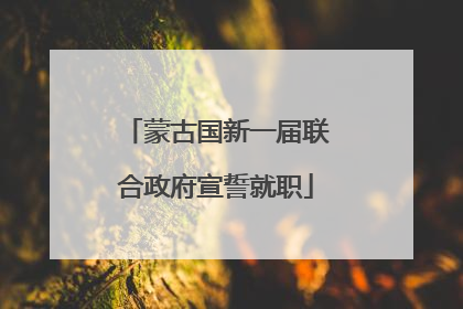 蒙古国新一届联合政府宣誓就职