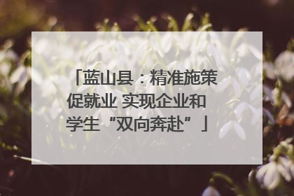 蓝山县：精准施策促就业 实现企业和学生“双向奔赴”