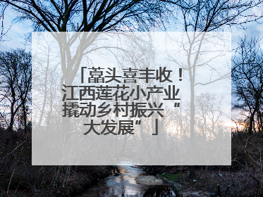 藠头喜丰收！江西莲花小产业撬动乡村振兴“大发展”
