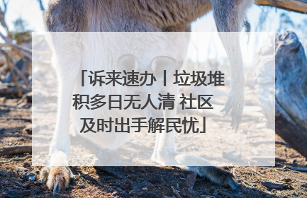 诉来速办丨垃圾堆积多日无人清 社区及时出手解民忧
