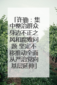 许勤：集中整治群众身边不正之风和腐败问题 坚定不移推动全面从严治党向基层延伸