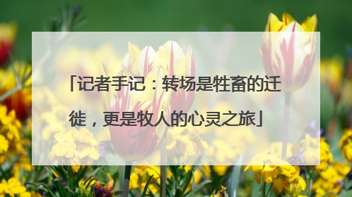 记者手记：转场是牲畜的迁徙，更是牧人的心灵之旅