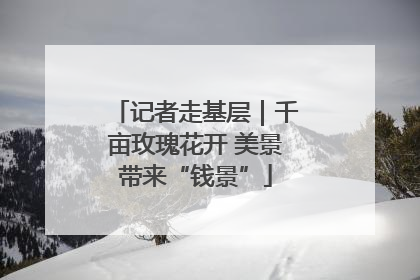 记者走基层｜千亩玫瑰花开 美景带来“钱景”