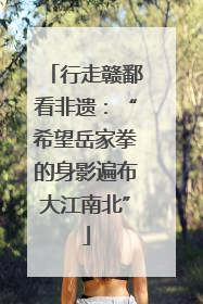 行走赣鄱看非遗：“希望岳家拳的身影遍布大江南北”