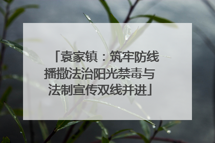 袁家镇：筑牢防线播撒法治阳光禁毒与法制宣传双线并进