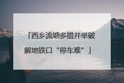 西乡流塘多措并举破解地铁口“停车难”