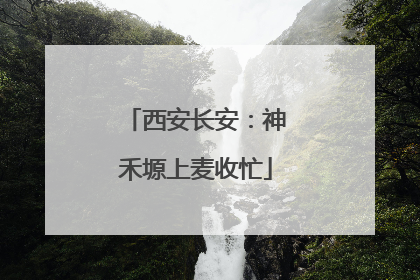 西安长安：神禾塬上麦收忙