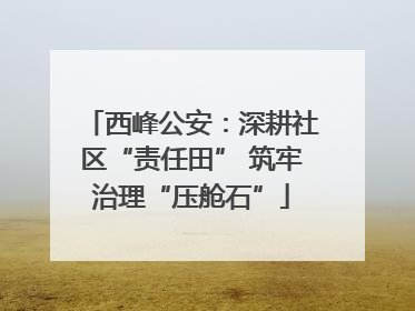 西峰公安：深耕社区“责任田” 筑牢治理“压舱石”