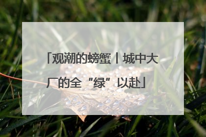观潮的螃蟹丨城中大厂的全“绿”以赴